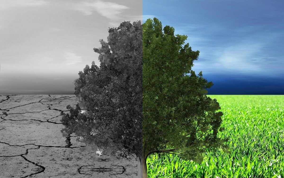 Klimaschutz und seine Auswirkung auf Natur um Umwelt Klimaschutz und seine Auswirkung auf Natur um Umwelt